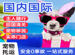 桃仙航空快递国际宠物托运 【国